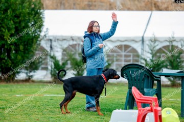 _0176.jpg