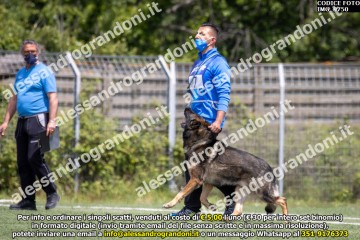 IMG_9750.jpg