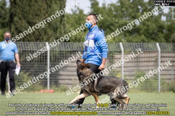 IMG_9767.jpg