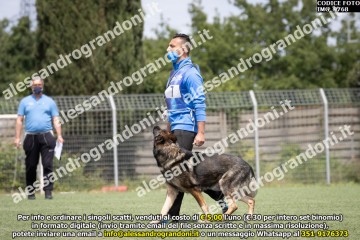 IMG_9768.jpg