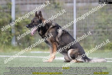 IMG_9777.jpg