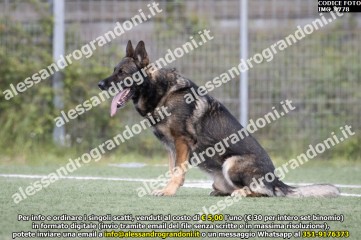 IMG_9778.jpg