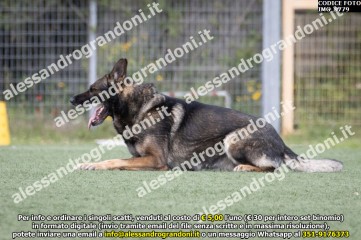IMG_9779.jpg
