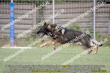 IMG_9781.jpg