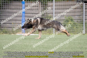 IMG_9782.jpg
