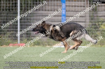 IMG_9783.jpg