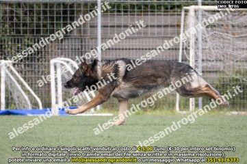 IMG_9786.jpg