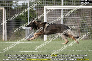 IMG_9791.jpg