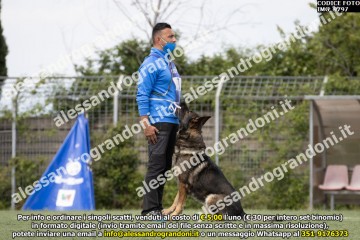 IMG_9797.jpg