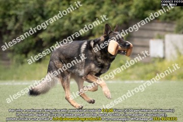 IMG_9807.jpg