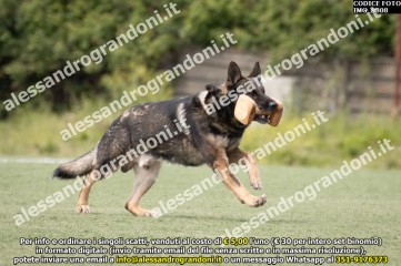 IMG_9808.jpg