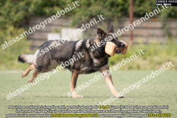 IMG_9809.jpg