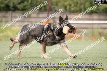 IMG_9810.jpg