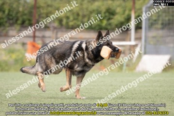 IMG_9811.jpg