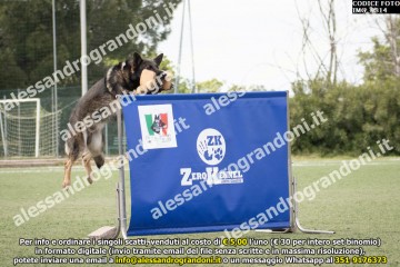 IMG_9814.jpg