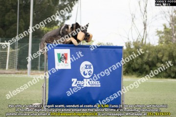 IMG_9815.jpg