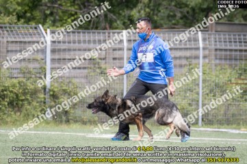 IMG_9826.jpg