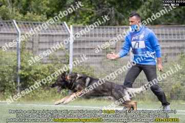 IMG_9828.jpg