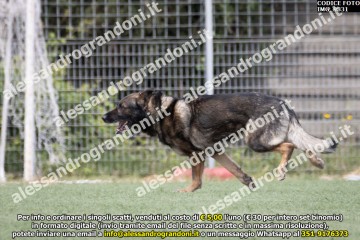 IMG_9831.jpg