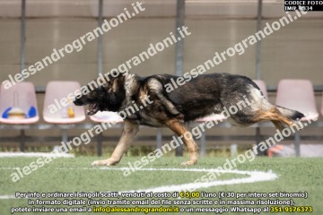 IMG_9834.jpg