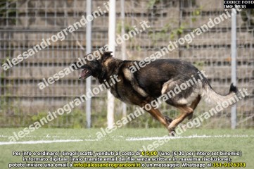IMG_9838.jpg