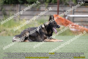IMG_9841.jpg