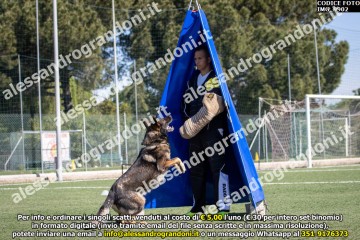 IMG_9902.jpg