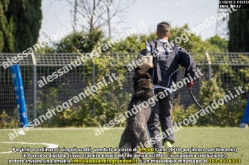 IMG_9927.jpg