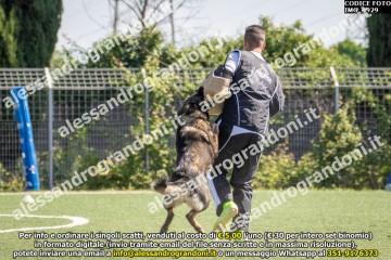 IMG_9929.jpg