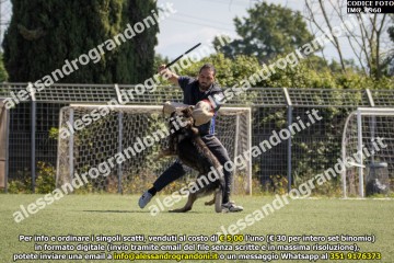 IMG_9960.jpg