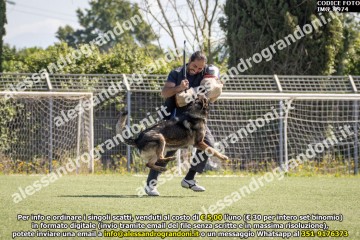 IMG_9974.jpg