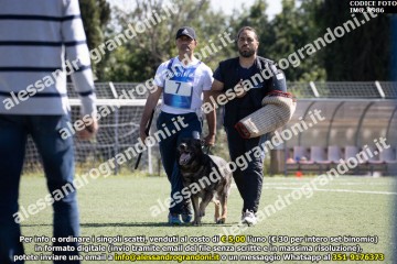 IMG_9986.jpg