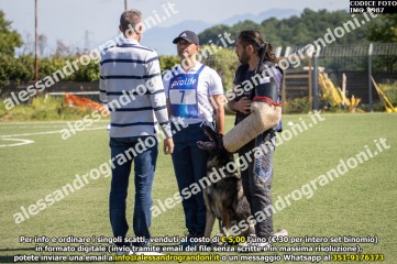 IMG_9987.jpg