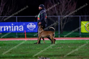 ENCI_04_0009.jpg
