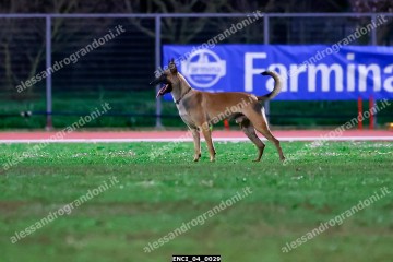 ENCI_04_0029.jpg