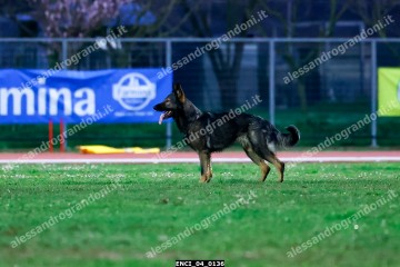 ENCI_04_0136.jpg