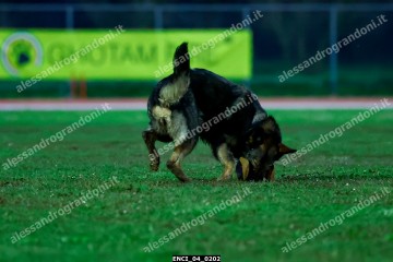 ENCI_04_0202.jpg