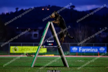 ENCI_04_0207.jpg