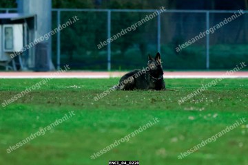 ENCI_04_0220.jpg
