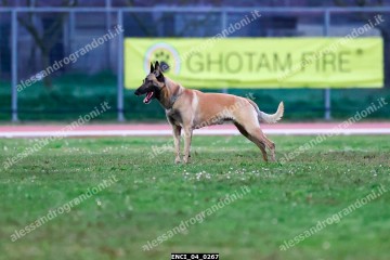 ENCI_04_0267.jpg