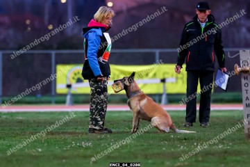 ENCI_04_0288.jpg