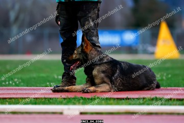 ENCI_04_0389.jpg