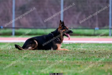 ENCI_04_0498.jpg
