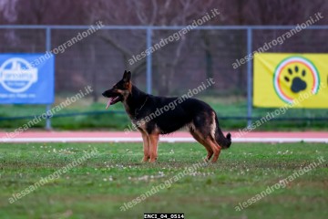 ENCI_04_0514.jpg