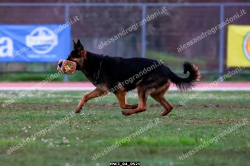 ENCI_04_0521.jpg