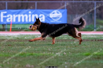 ENCI_04_0523.jpg