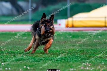 ENCI_04_0543.jpg