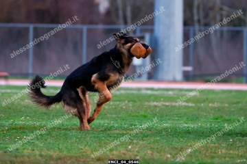 ENCI_04_0546.jpg