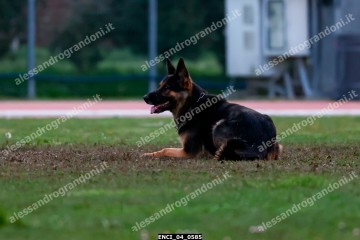 ENCI_04_0585.jpg