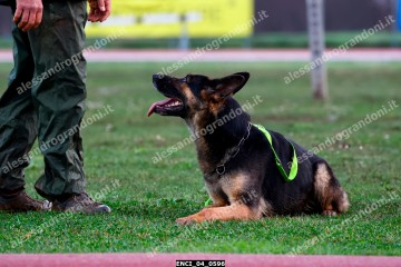 ENCI_04_0596.jpg